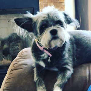 Meet your Posher, Erin